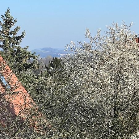 Ferienwohnung Dresden Luaran gambar